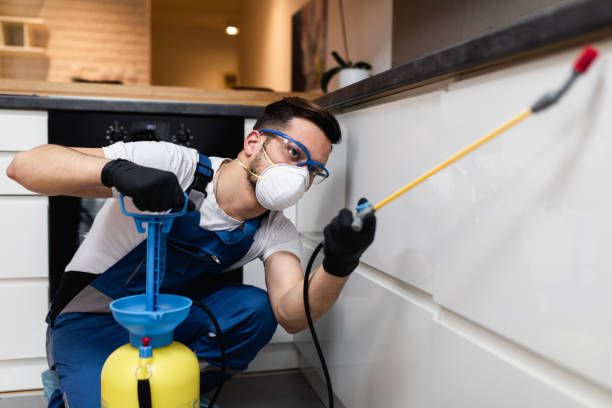 Best Best Pest Control Companies  in Mexico, MO