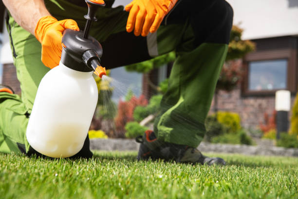 Best Residential Pest Control  in Mexico, MO