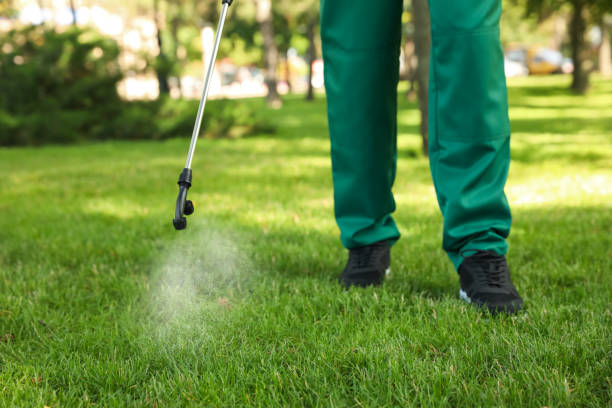 Best Local Pest Control Services  in Mexico, MO