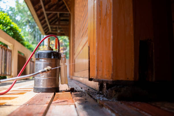 Best Affordable Pest Control Services  in Mexico, MO