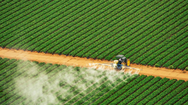 Reliable Mexico, MO Pest Control Solutions