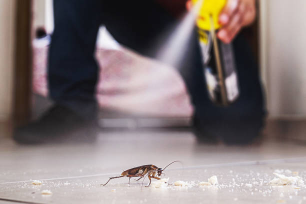 Best Termite Control Services  in Mexico, MO