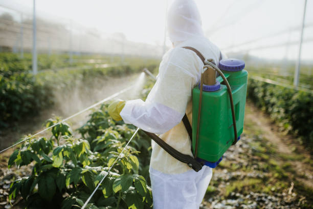 Best Emergency Pest Control  in Mexico, MO